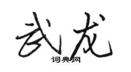 骆恒光武龙行书个性签名怎么写