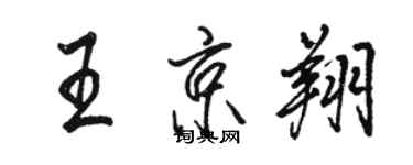 骆恒光王京翔行书个性签名怎么写