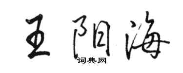 骆恒光王阳海行书个性签名怎么写