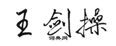 骆恒光王剑操行书个性签名怎么写