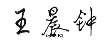 骆恒光王晨钟行书个性签名怎么写