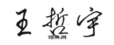 骆恒光王哲宇行书个性签名怎么写
