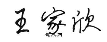 骆恒光王家欣行书个性签名怎么写