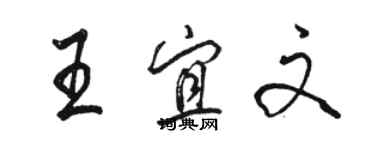 骆恒光王宜文行书个性签名怎么写