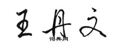 骆恒光王丹文行书个性签名怎么写