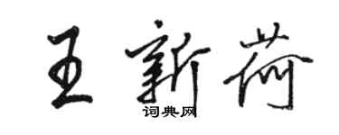 骆恒光王新荷行书个性签名怎么写