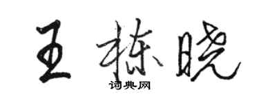 骆恒光王栋晓行书个性签名怎么写