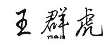 骆恒光王群虎行书个性签名怎么写