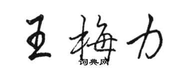 骆恒光王梅力行书个性签名怎么写