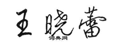 骆恒光王晓蕾行书个性签名怎么写
