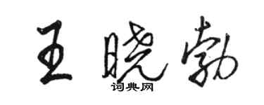 骆恒光王晓勃行书个性签名怎么写