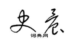 梁锦英史晨草书个性签名怎么写