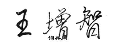骆恒光王增智行书个性签名怎么写