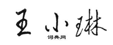 骆恒光王小琳行书个性签名怎么写