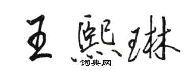 骆恒光王熙琳行书个性签名怎么写