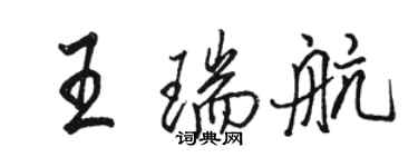 骆恒光王瑞航行书个性签名怎么写
