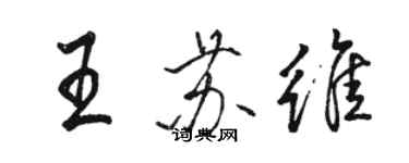 骆恒光王苏维行书个性签名怎么写