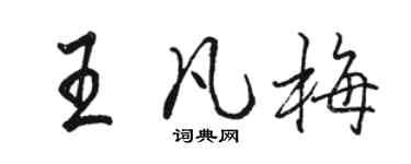 骆恒光王凡梅行书个性签名怎么写