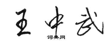 骆恒光王中武行书个性签名怎么写