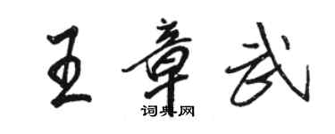 骆恒光王章武行书个性签名怎么写