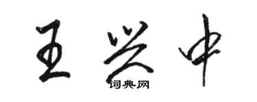 骆恒光王兴中行书个性签名怎么写