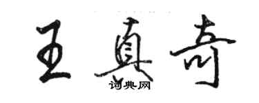 骆恒光王真奇行书个性签名怎么写