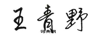 骆恒光王青野行书个性签名怎么写