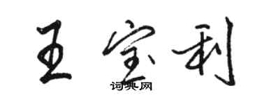 骆恒光王宝利行书个性签名怎么写