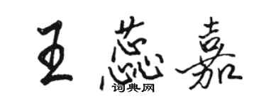 骆恒光王蕊嘉行书个性签名怎么写