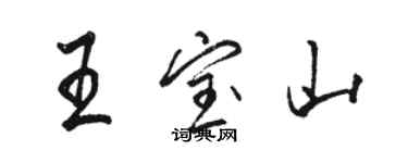 骆恒光王宝山行书个性签名怎么写