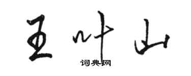 骆恒光王叶山行书个性签名怎么写