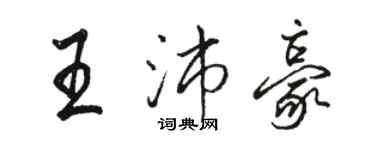 骆恒光王沛豪行书个性签名怎么写