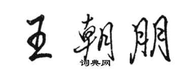 骆恒光王朝朋行书个性签名怎么写