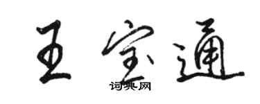骆恒光王宝通行书个性签名怎么写