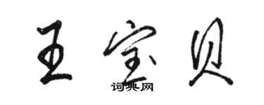 骆恒光王宝贝行书个性签名怎么写