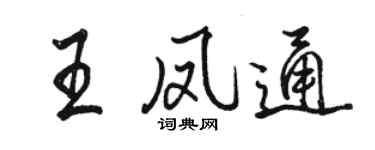 骆恒光王凤通行书个性签名怎么写