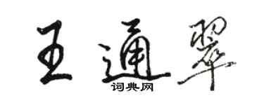 骆恒光王通翠行书个性签名怎么写