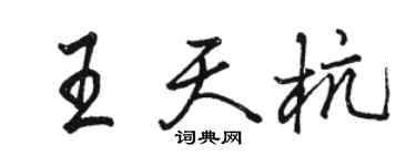 骆恒光王天杭行书个性签名怎么写