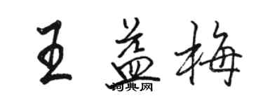 骆恒光王益梅行书个性签名怎么写