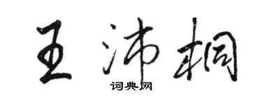 骆恒光王沛桐行书个性签名怎么写