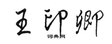骆恒光王印卿行书个性签名怎么写