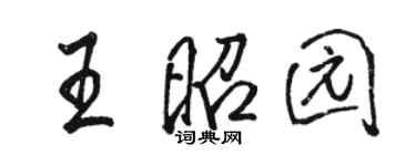 骆恒光王昭园行书个性签名怎么写
