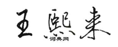 骆恒光王熙来行书个性签名怎么写