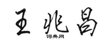 骆恒光王兆昌行书个性签名怎么写