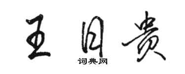 骆恒光王日贵行书个性签名怎么写