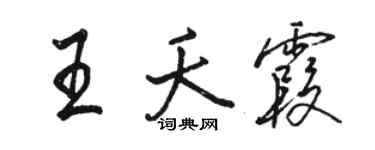 骆恒光王夭霞行书个性签名怎么写