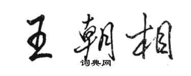 骆恒光王朝相行书个性签名怎么写