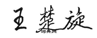 骆恒光王楚旋行书个性签名怎么写