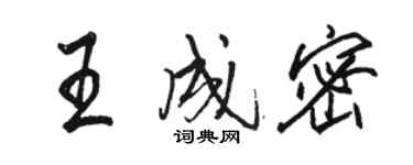 骆恒光王成密行书个性签名怎么写