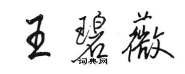 骆恒光王碧薇行书个性签名怎么写